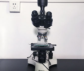 54834b3ed68a4aad907b6b99adc51924