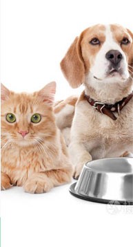 b467f527ae1c4716a5a37eac669b6fa6