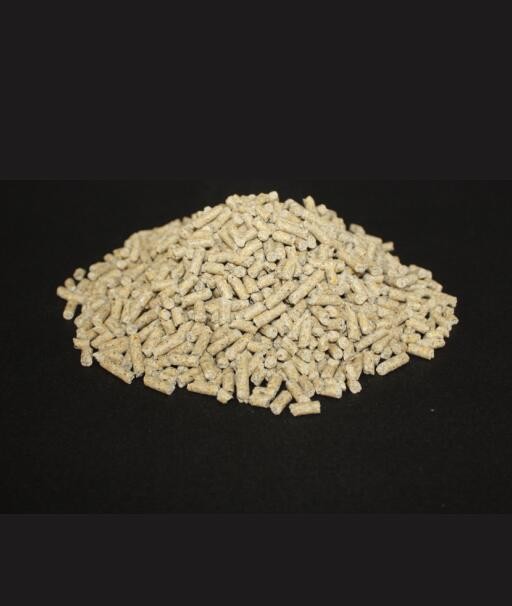 bed9b2de266646319d053c230cd9ceb4