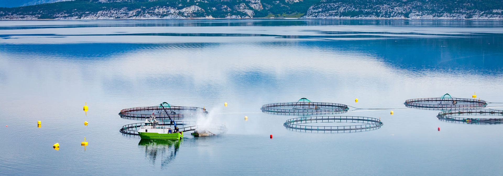 97国际官网养殖成本更低、更赢利