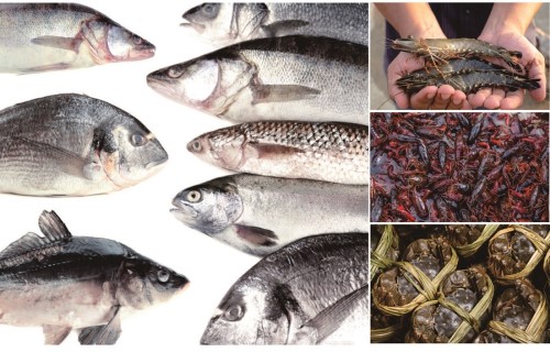 145f34739a0e4ec5aaf7d12c1b4859e4