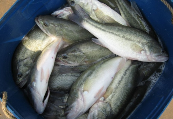 97国际·(中国区)集团官方网站