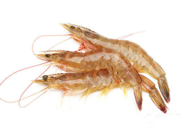 97国际·(中国区)集团官方网站