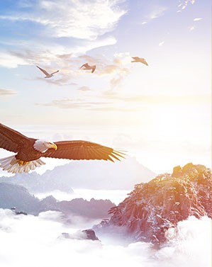 5860efccec694c01ab1f3d2a8d2a2b1e